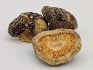 Shiitake Mushrooms