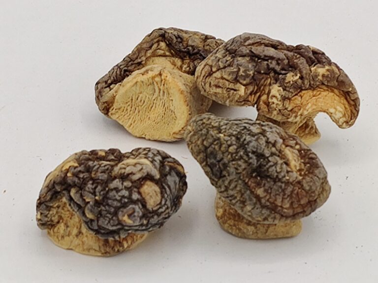 Buy Shiitake Mushrooms - Image 2