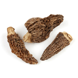 dried morel mushrooms