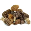 dried morel mushrooms